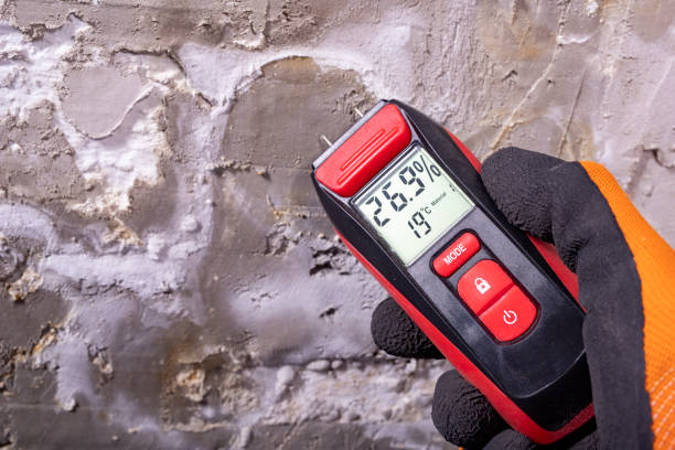 Best Fast Mold Removal  in North Grosvenor Dale, CT