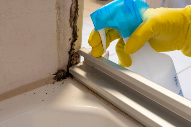 Water Damage Restoration in North Grosvenor Dale, CT