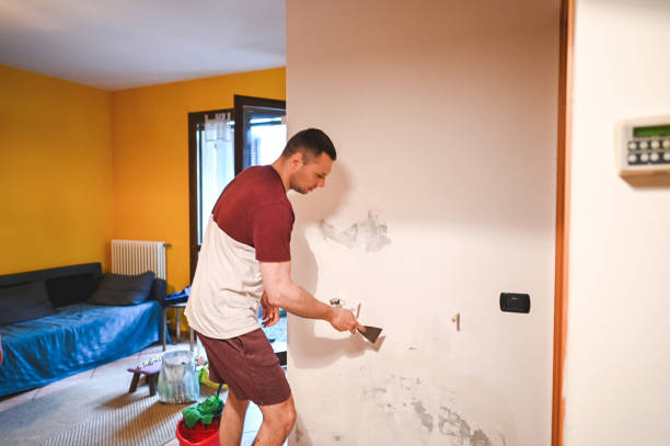 Best Professional Mold Removal  in North Grosvenor Dale, CT